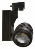 DLP30 30W BK LED 4100K IP20 AC110-265V черный 