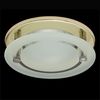 Свет-к рефлекторный FR-50+С5  PB золото
