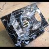 CD87 35W G9 прозрачный, черный-белый с лампой