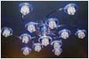 Светильник декоративный MD 7030/13 (LV8026/13)12Vx20W G4 L53 W53 H21 пульт/LED синяя