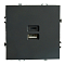 RST10-5115-05 Розетка 2-местная USB+TypeC(механизм), 250В,20W, черный уголь.