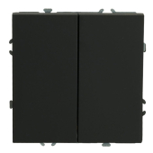 RSW10-5111-05 Переключатель перекрестный 2-клавишный (механизм),250В,10А,черный уголь.
