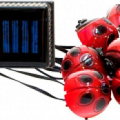 CD881 светильник газонный 9*LED божьи коровки