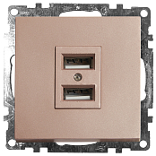 GLS10-7115-02 Розетка шампань USB 2-местная (механизм) 250B 2,1А