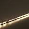 LS500/ 60SMD(2835)/м 6Вт/м 24V 5000*8*1.22мм 3000К