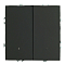 RSW10-5102-05 Выключатель 2-клавишный c индикатором (механизм),250В,10А,черный уголь.