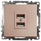 GLS10-7115-02 Розетка шампань USB 2-местная (механизм) 250B 2,1А