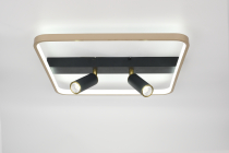 MS 1206/2+1 60W Чёрный/золото 3000-6000К 2750Lm 450х450х55мм диммируемый с ПДУ