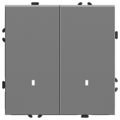 RSW10-5102-10 Выключатель 2-клавишный c индикатором (механизм),250В,10А, платиново-серый.