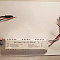 GH-IRM92W160ma ИК AC180-260V DC144V (для серии MS) Д