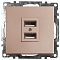 GLS10-7115-02 Розетка шампань USB 2-местная (механизм) 250B 2,1А