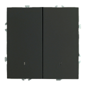 RSW10-5102-05 Выключатель 2-клавишный c индикатором (механизм),250В,10А,черный уголь.
