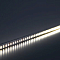 LS501, 120SMD(2835)/м 11Вт/м 24V 5000*8*1.22мм 3000К