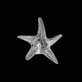 DF-LC07003 украшение для гирлянд морская звезда