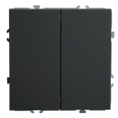 RSW10-5107-05 Переключатель 2-клавишный (механизм),250В,10А,черный уголь.