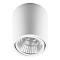 AL516 15W 1200Lm 4000K 30 градусов, белый, поворотный
