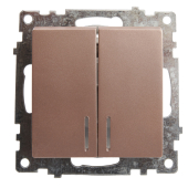 GLS10-7102-02 Выключатель шампань 2-клавишный (механизм) с индикатором 250В 10А
