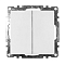 GLS10-7104-01 Выключатель  белый 2-клавишный (механизм) 250В 10А