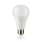 LS-34 15W 220V E27 4000K 1500Lm A60