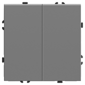 RSW10-5104-10 Выключатель 2-клавишный(механизм),250В,10А, платиново-серый.
