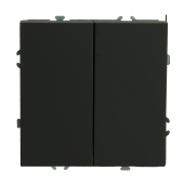 RSW10-5104-05 Выключатель 2-клавишный(механизм),250В,10А,черный уголь.